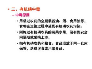 供應鏈管理在烹飪與膳食管理中的基礎作用