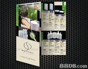 螢火蟲(chóng)制作公司 多媒體設(shè)計(jì)服務(wù)引領(lǐng)創(chuàng)意未來(lái)